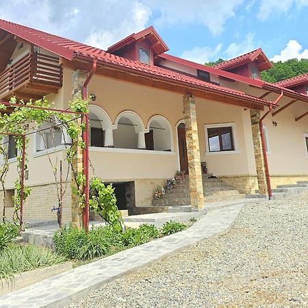 Casa Hera Calimanesti Exterior photo
